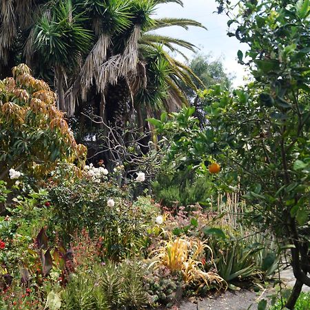 Vila La Casita Del Jardinero Los Llanos De Aridane Exteriér fotografie