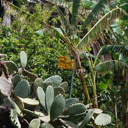 Vila La Casita Del Jardinero Los Llanos De Aridane Exteriér fotografie