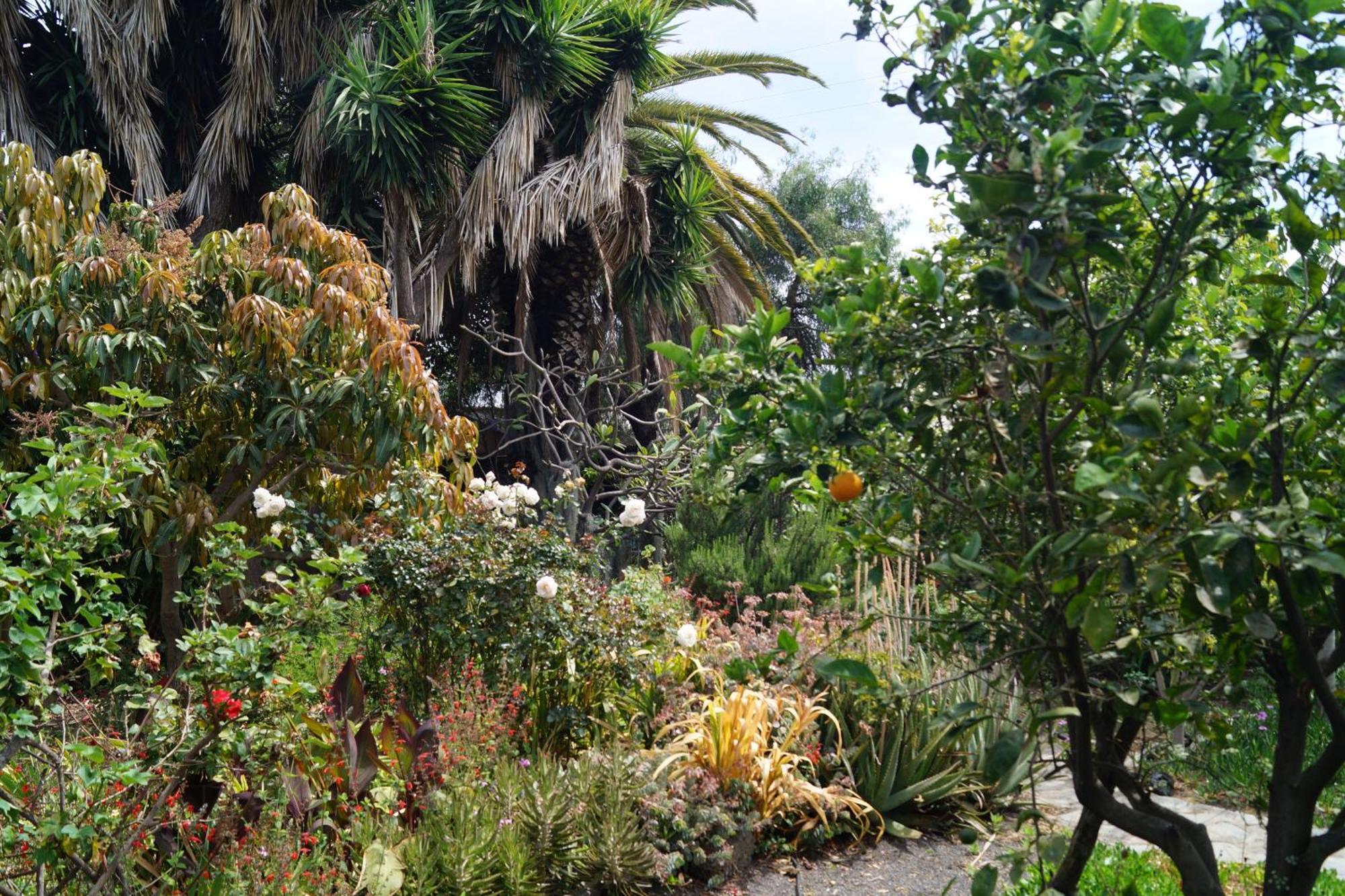 Vila La Casita Del Jardinero Los Llanos De Aridane Exteriér fotografie